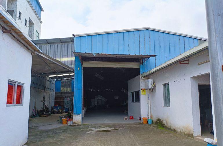 园洲镇新出一小钢构厂房