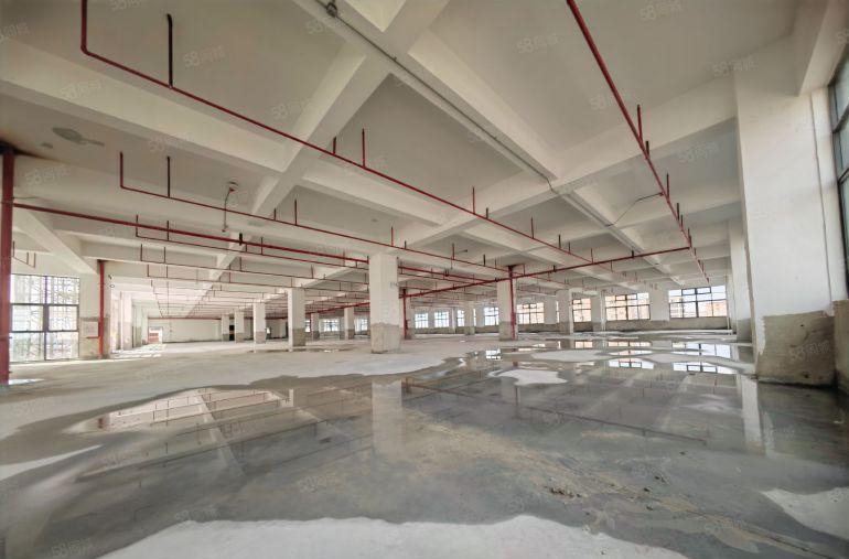 主路原房东独院楼房16000平，大小可分，红本双证