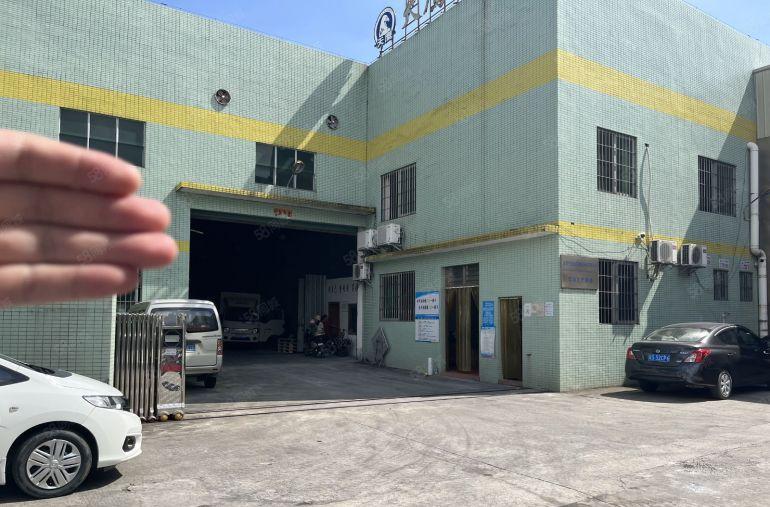 园洲厂房出租实际面积原房东厂房出租独院可做仓库出租加工等行业