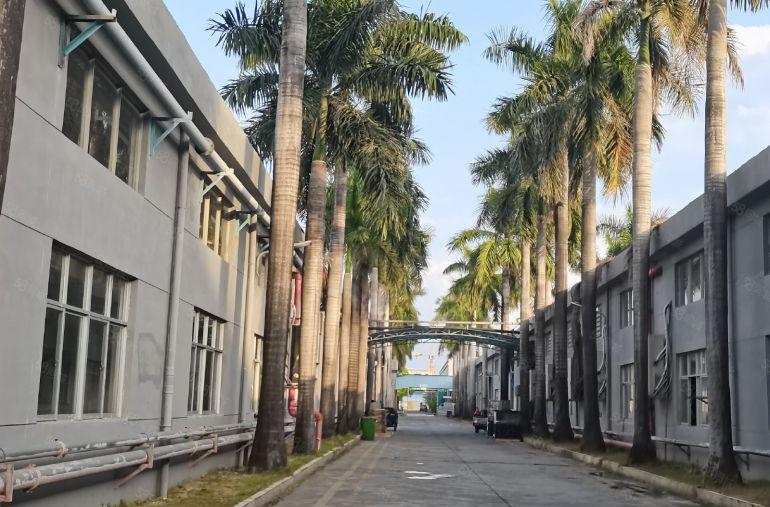 龙溪大道原房东单一层厂房便宜出租，可分租