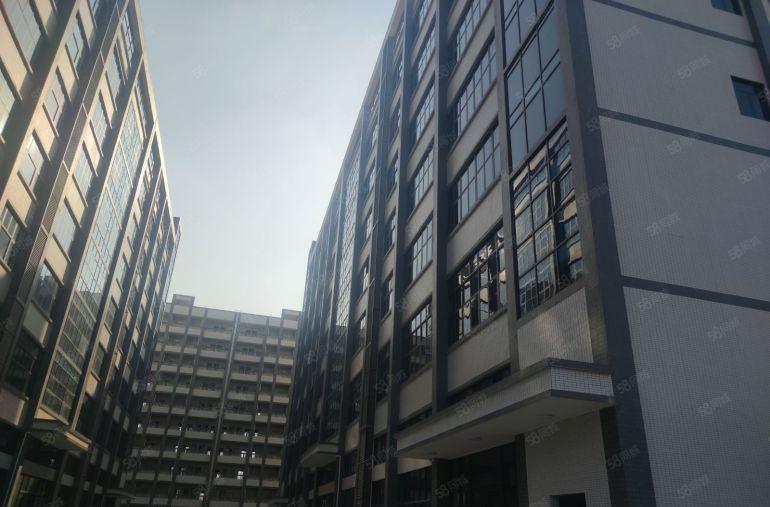 桥头龙溪11000平可分租工业厂房低价出租绿化好 交通便利