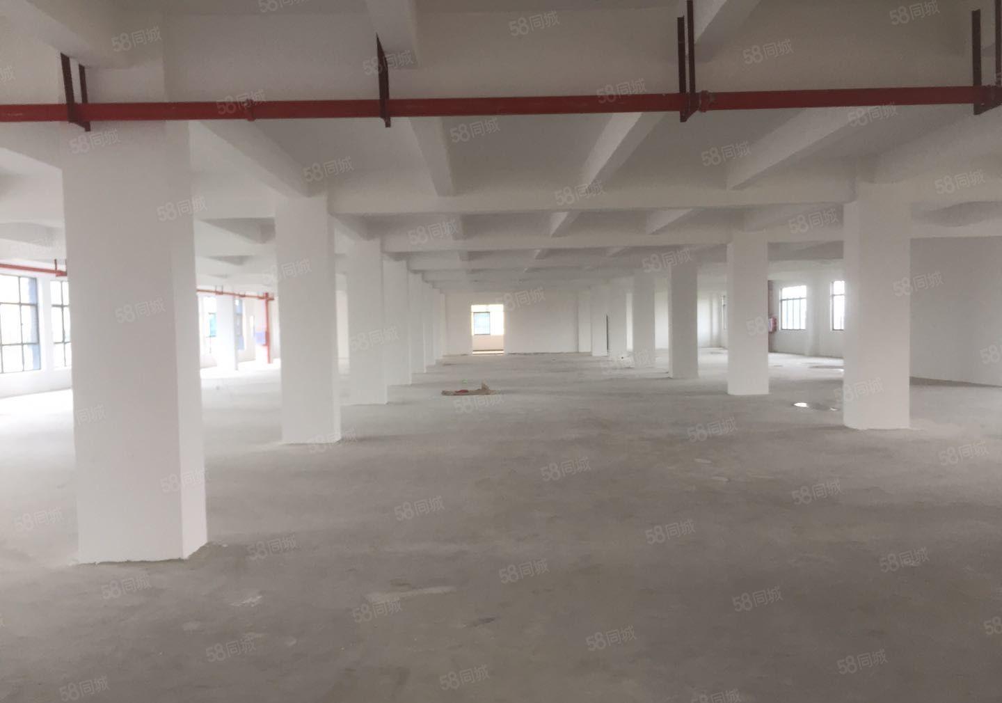 石湾高速路口全新厂房10000平方，可办环评，形象好，近高速