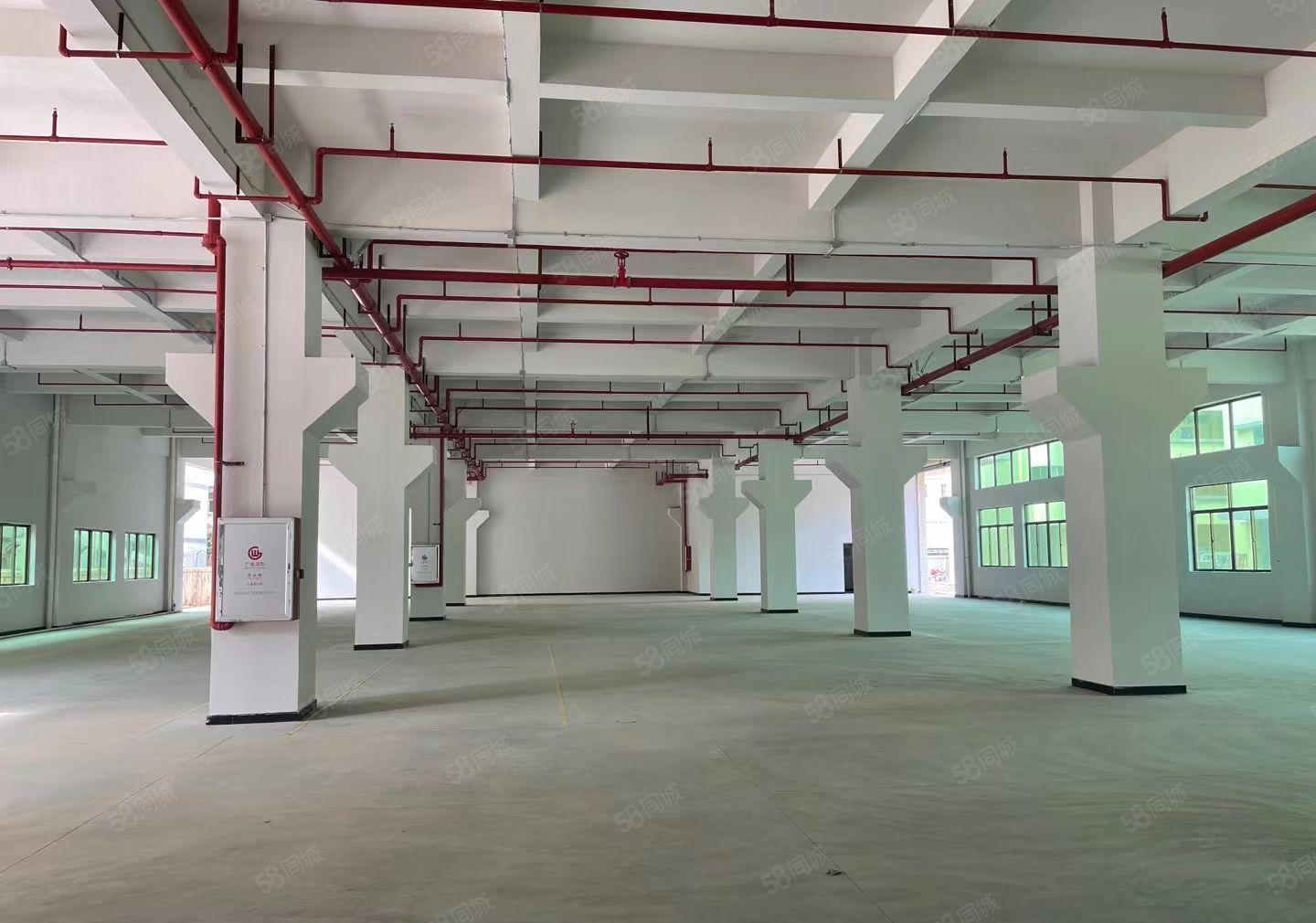 罗阳镇原房东独栋红本标准厂房面积4750招租