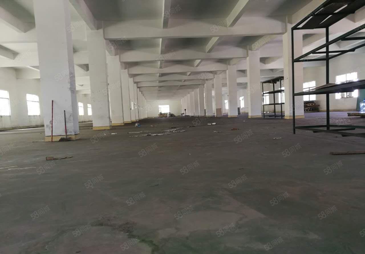 龙溪镇花园式独院厂房出租