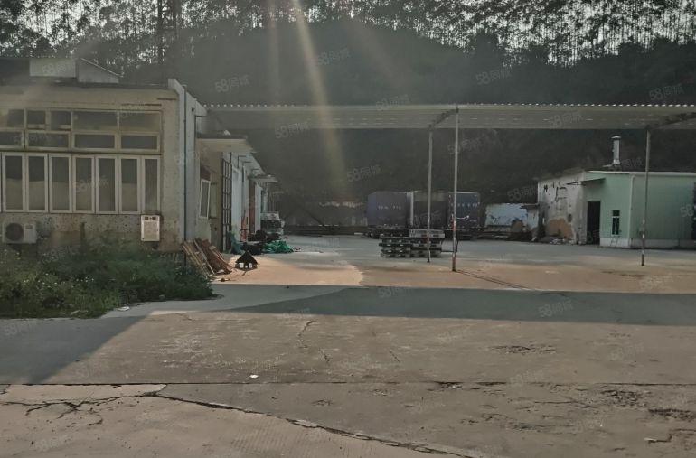 业主独门独院13000平方单一层钢结构空地5000平方高速口