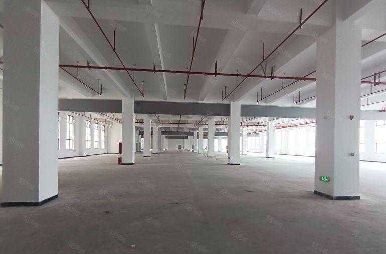 园洲镇全新独院标准厂房出租仓库出租，滴水七米，带蒸汽可分租