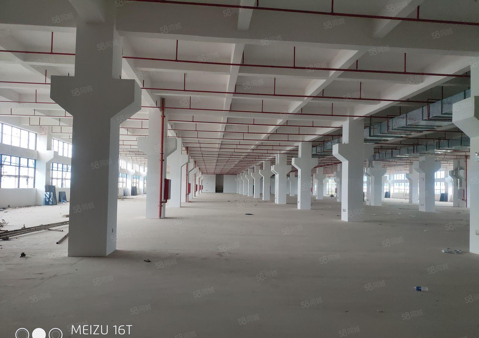 惠州市石湾镇全新重工业标准独院厂房仓库出租9米滴水