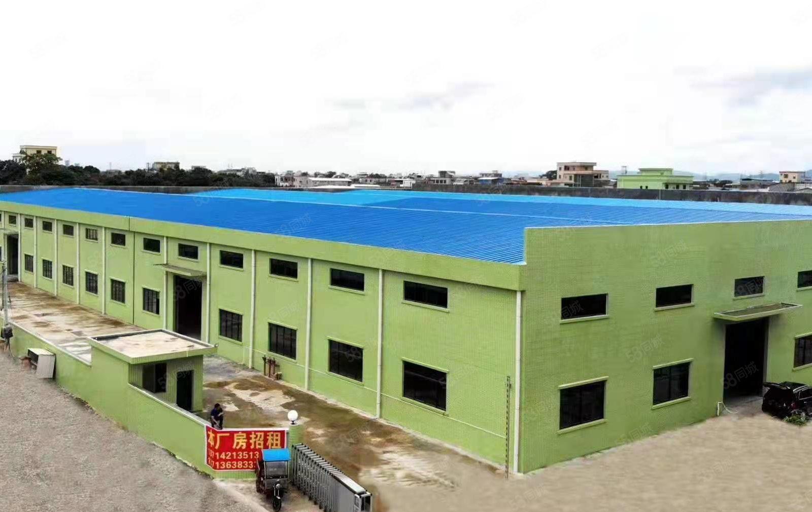 园洲新出原房东独门独院单一层厂房20000平方1000平方起