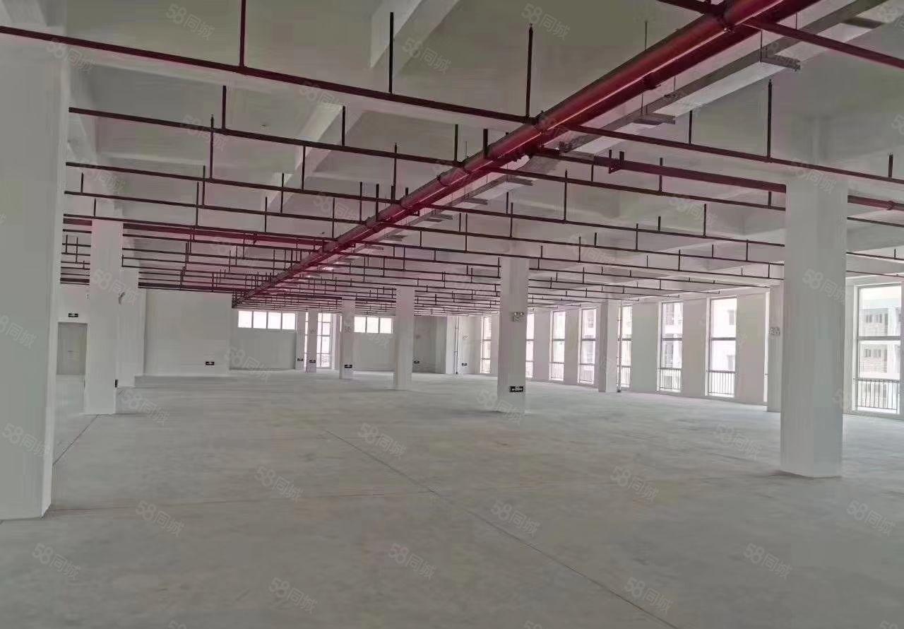 惠州市博罗县龙溪镇电镀基地附近工业园区厂房招租，300平米起