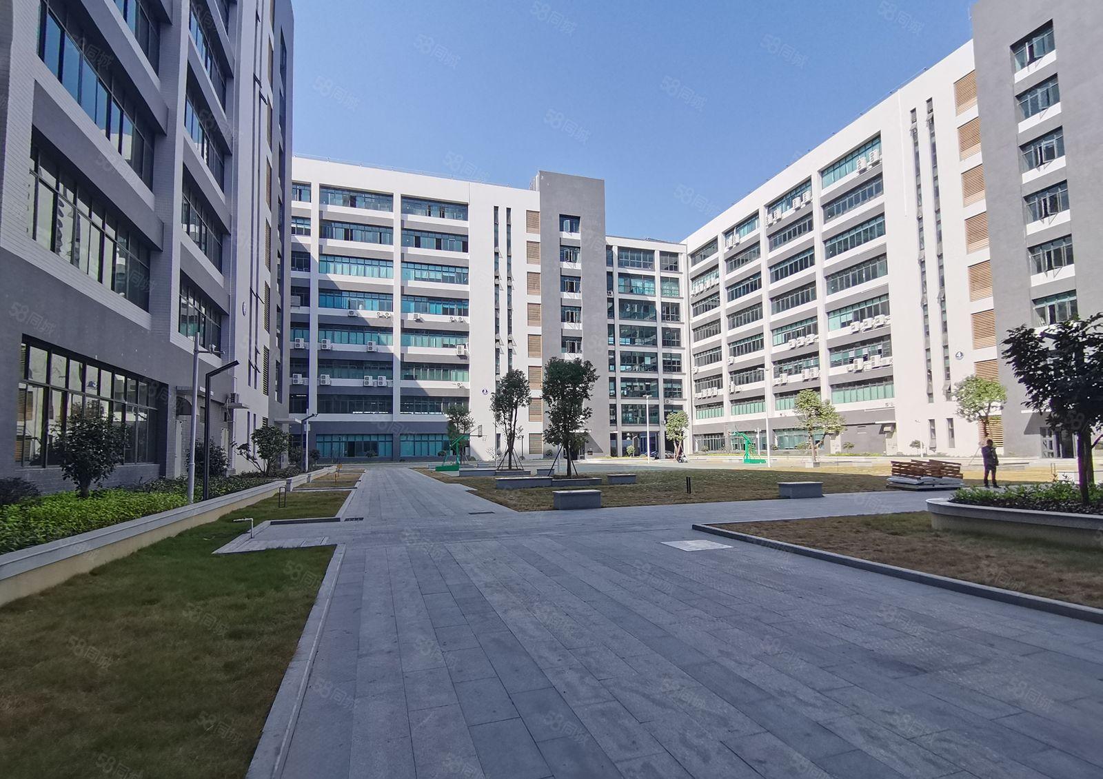 博罗 园洲新出原房东2万平工业厂房出租自建房使用率高可分租