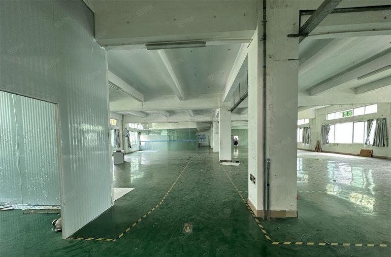 8元单层1000平带装修厂房低价出租博罗龙溪园洲石湾