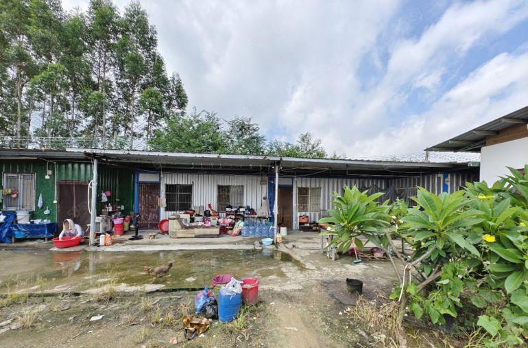 园洲镇原房东独院单一层1200平