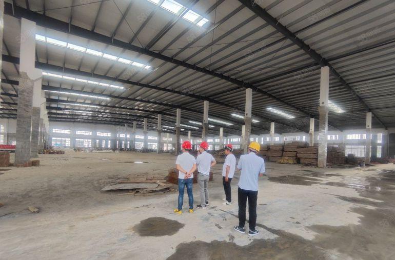 园洲全新红本标准钢构12万平方厂房出租