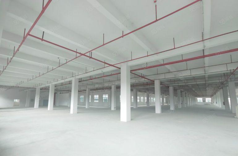 独门独院红本标准，单一层厂房