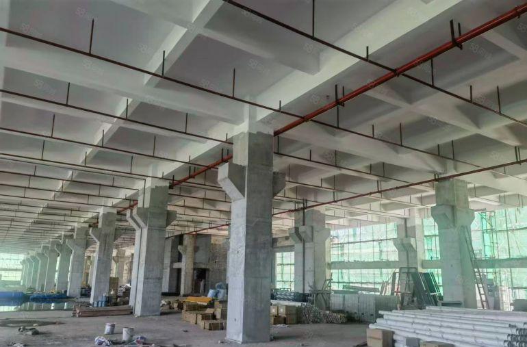 石湾原房东带10吨货梯厂房出租