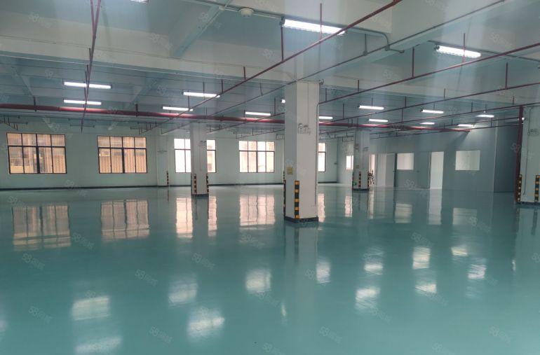 低价带装修博罗石湾工业园楼上1500平厂房出租全新地坪漆