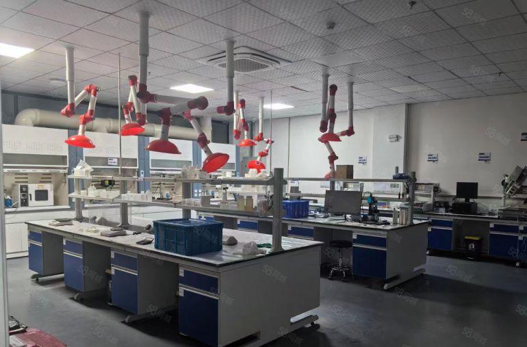 惠州石湾镇豪华装修厂房1400平方好招工近东莞石龙