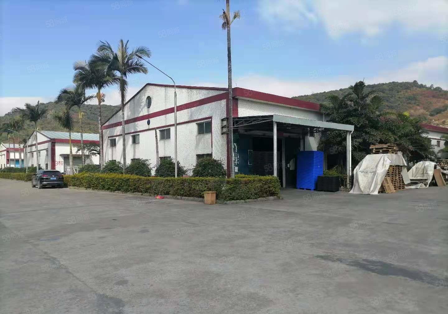 2000起分栋租！26000方独院钢构厂房仓库出租证件齐全