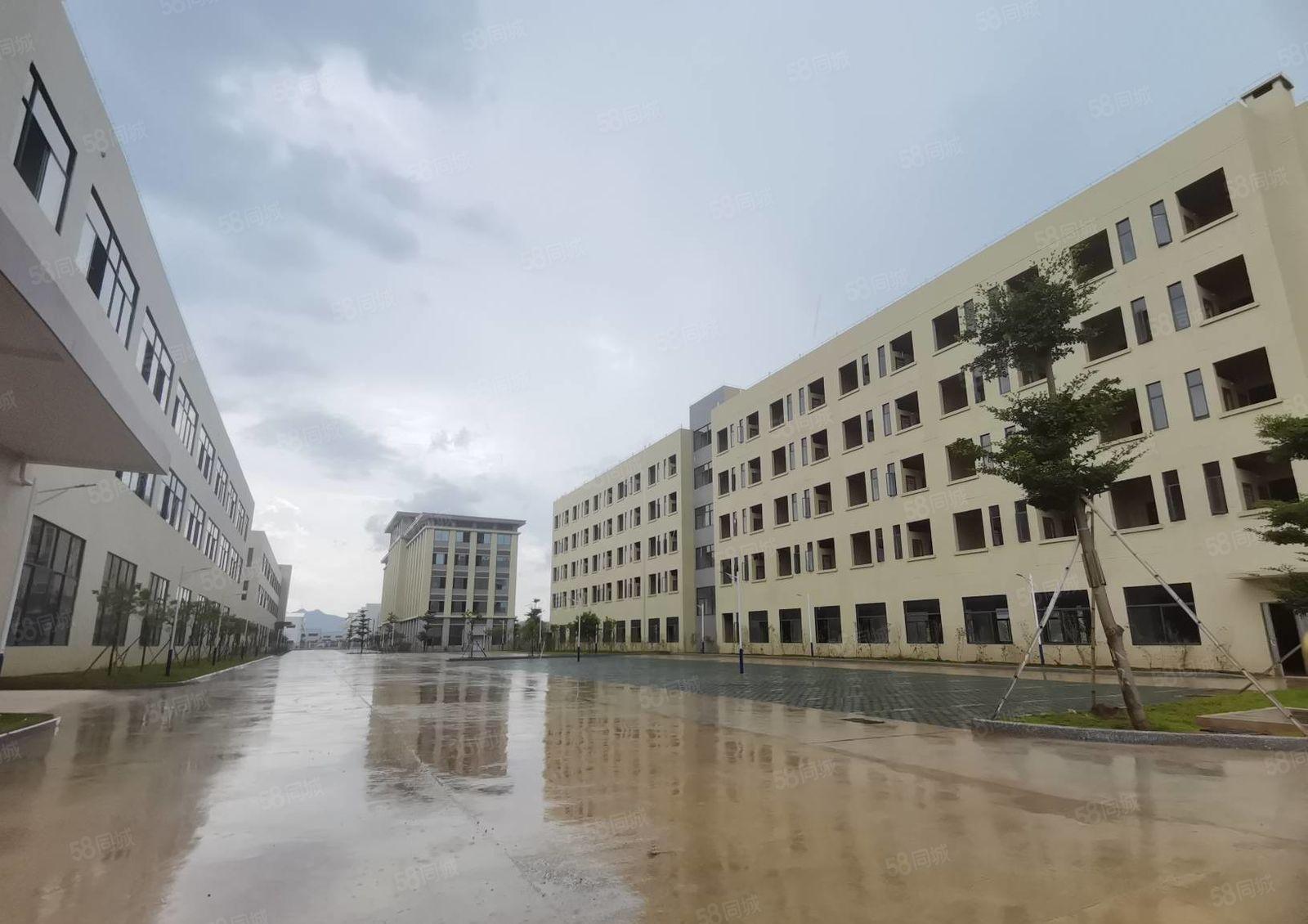 博罗重工业红本厂房全新装修交通方便按需分租700平2000