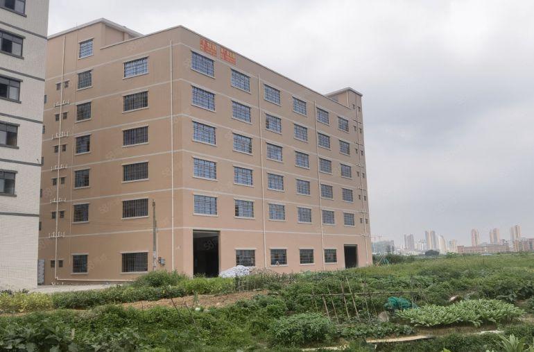 园洲镇原房东独全新标准厂房出租4900平