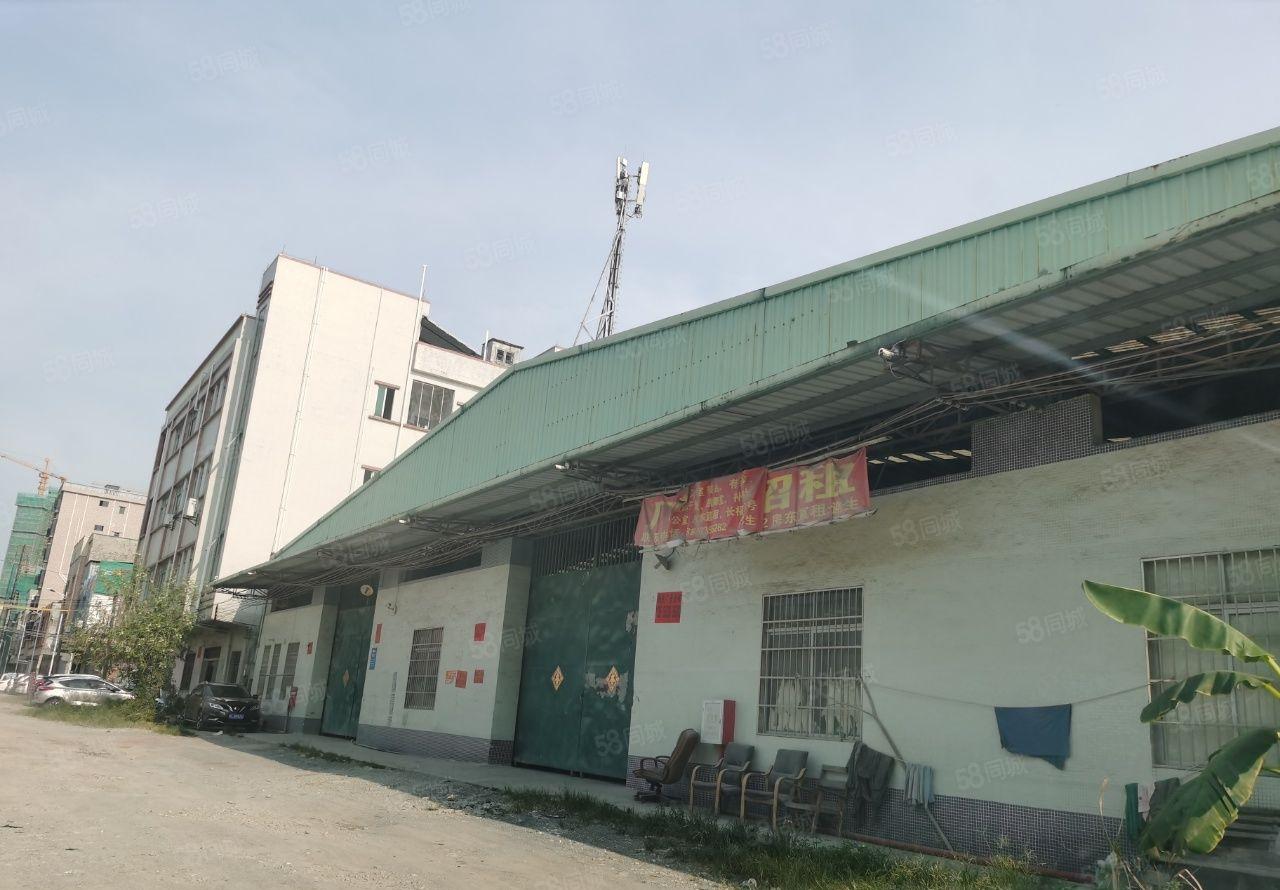 石湾镇 单一层厂房 仓库厂房出租 石湾大道旁 一楼仓库小仓库