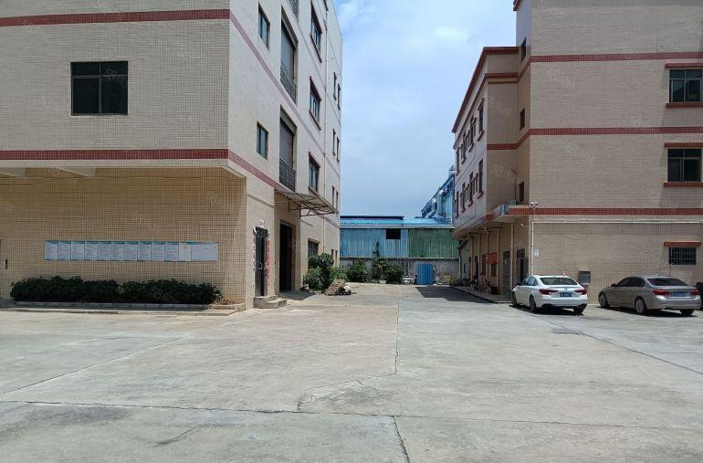 园洲镇原房东独院标准厂房出租仓库出租，空地大证件齐交通方便