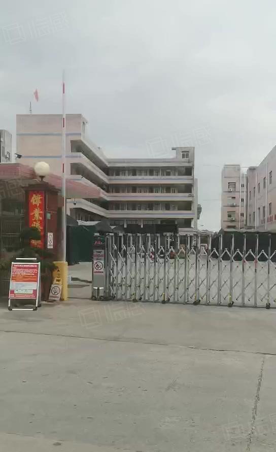 石湾镇原房东独院10000平标准厂房出租 园区空地大可办环评