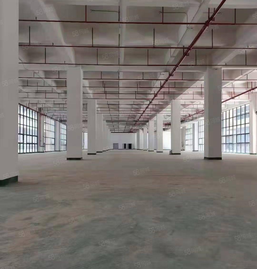 非中介！博罗龙溪镇新出红本双证标准厂房！原房东特价出租！