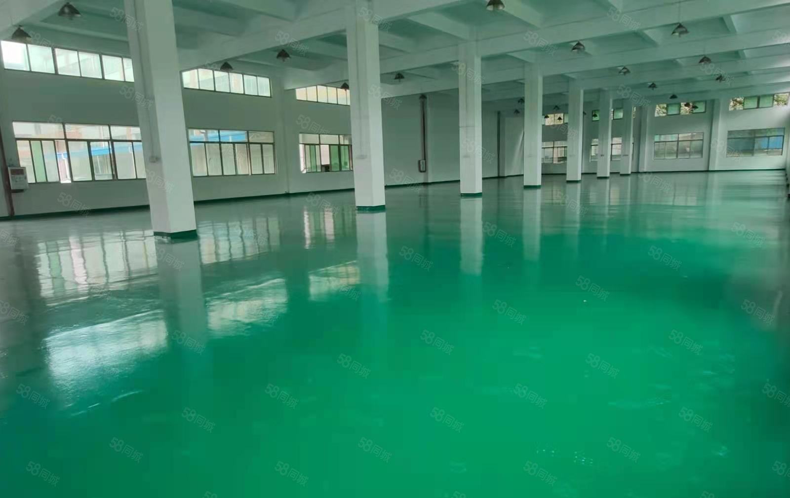 原房东花园式独院厂房出租6000平方，现成装修，可办环评。