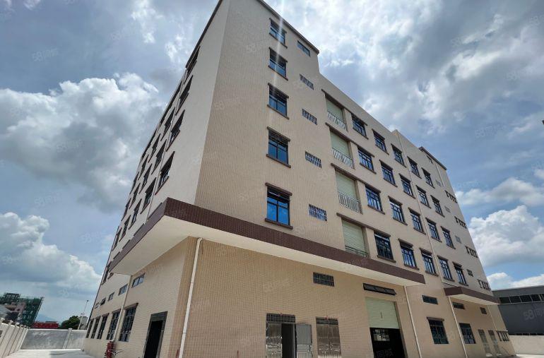 园洲全新标准独院！可做仓库！可分租！