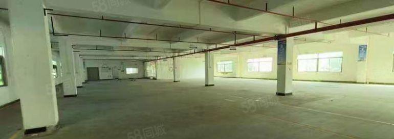 低价出租博罗罗阳原房东厂房