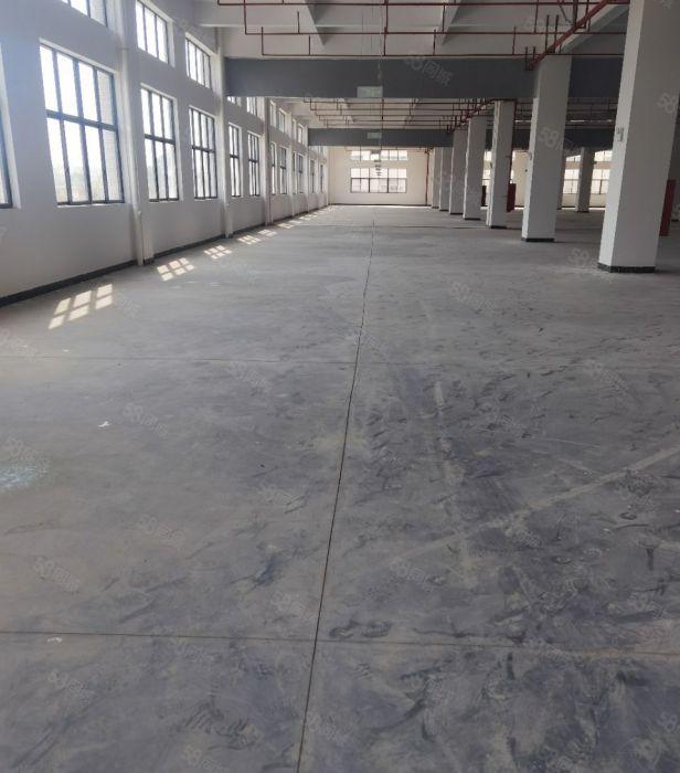 博罗石湾全新重工业M2工业厂房出租，厂房2栋可分隔独门独院。