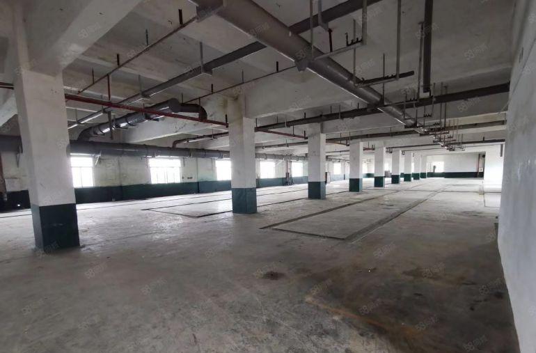 园洲全新厂房1500平起租出租 南北通透 采光好