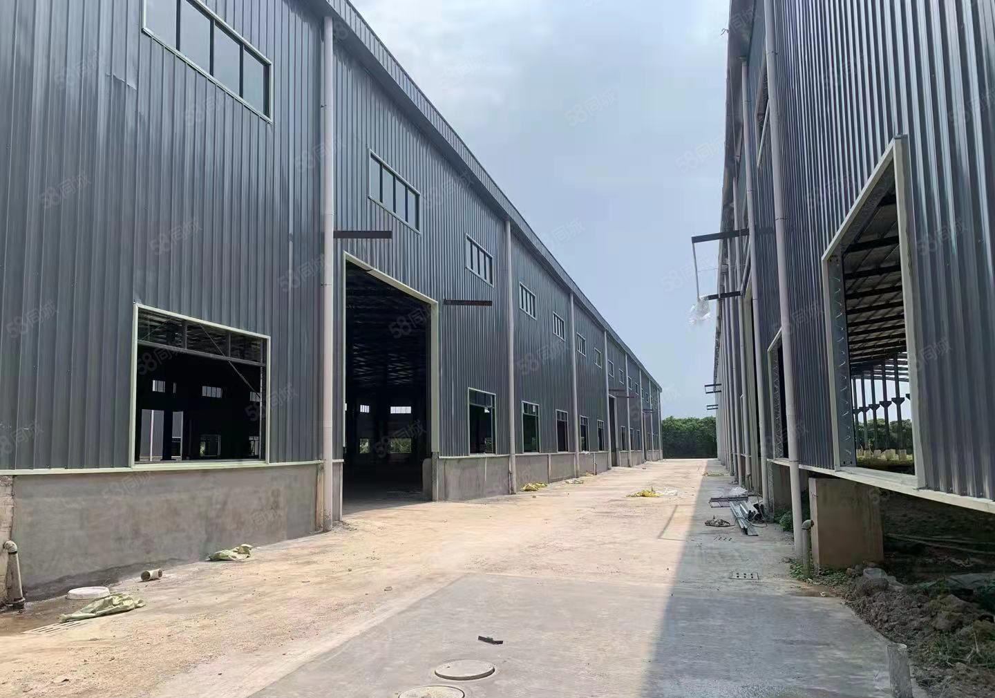 园洲全新滴水10米单一层厂房出租，共48600平方，证件齐全