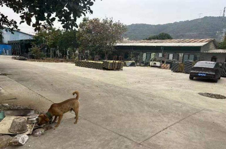 4000平方的厂房配有6000平方的空地