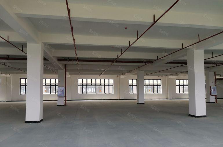 罗阳镇厂房出租，标准厂房，原房东，5吨电梯。