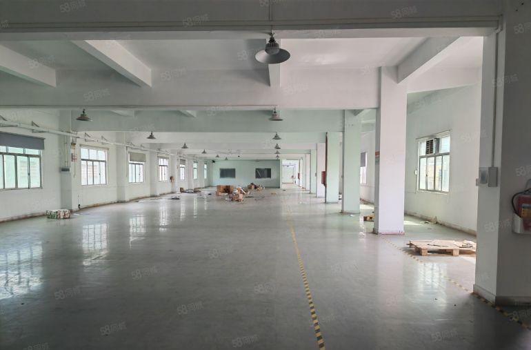 园洲镇新空出标准加单一层9000平方，价格便宜