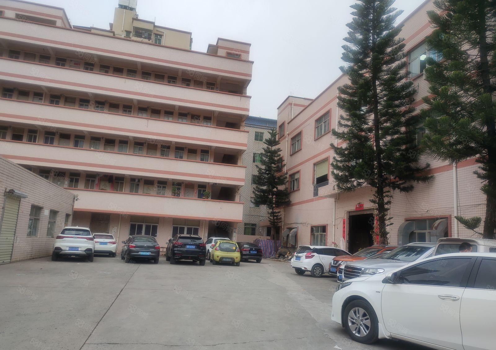 石湾科技3000平方精装修厂房出租500平方起分租可办环评。