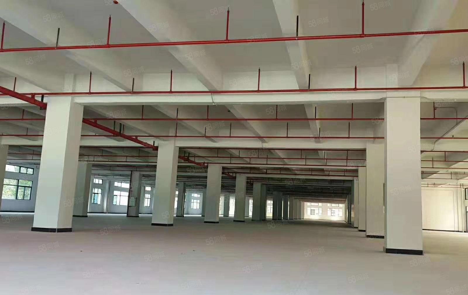 博罗石湾经典独院3500 宿舍配套齐全 工业厂房 可办环评