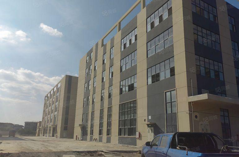 龙溪镇标准工业园7元出租楼上7元一楼8米14元全新工业区原房