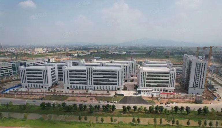 石湾千亿园红本厂房低价出租30000平，大小可分租高速出口旁