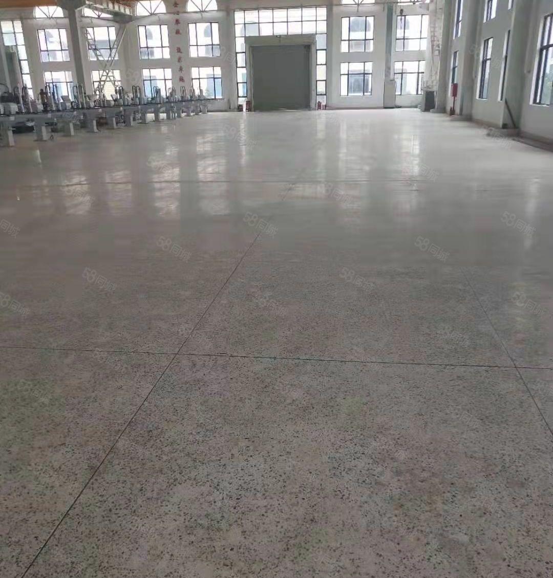 博罗全新红本钢构独院厂房低价招租