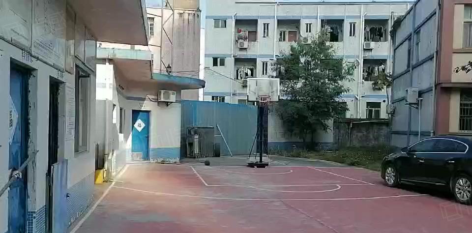 新出！博罗石湾2700独院钢构厂房仓库出租大空地无公摊精装修