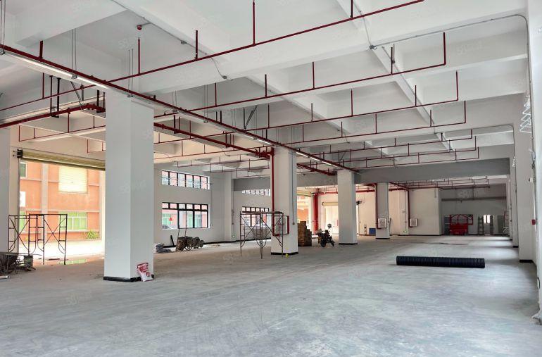 （原房东）园洲9块每平全新独栋厂房