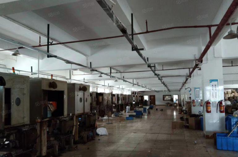 园洲镇原房东标准楼房出租5000平米，宿舍800平米