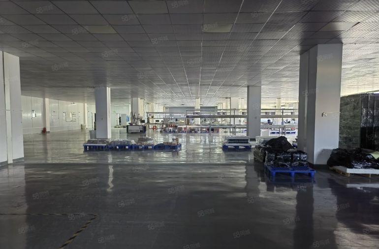 精装修！8元！无公摊！博罗罗阳原房东红本厂房3200平底价租