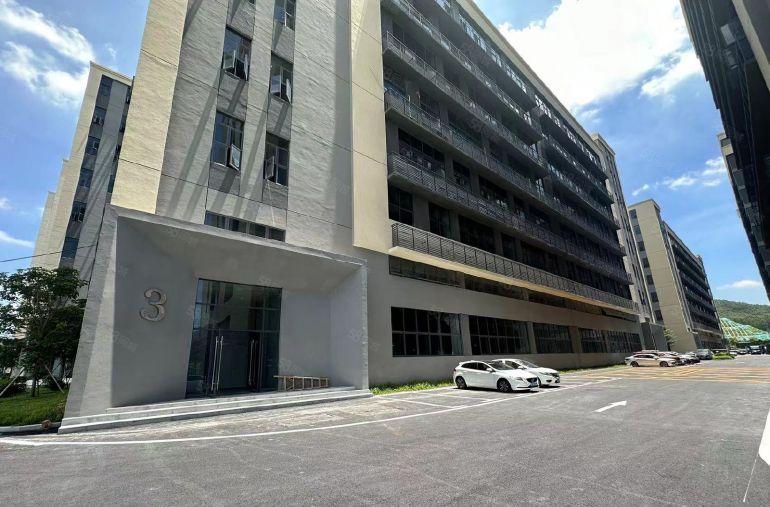 博罗厂房1000平精装原房东低价厂房出租可分租可办环评红本