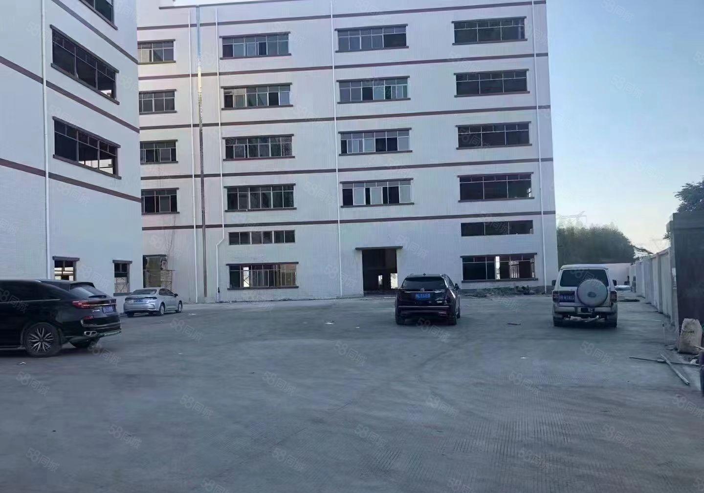 自建厂房！石湾全新独院标准一楼7米带牛角，格局方正，不限行业