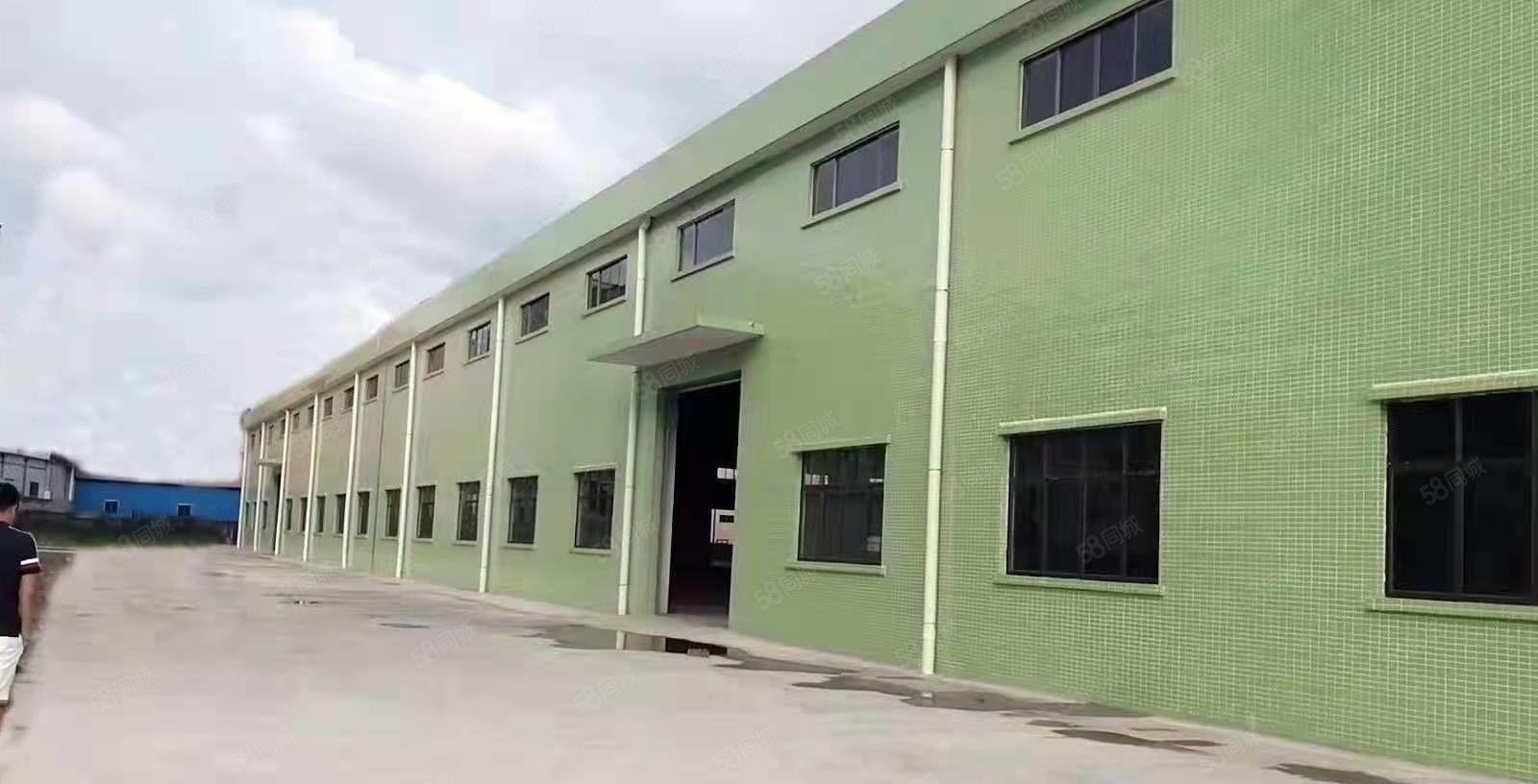 园洲新出原房东独门独院单一层厂房20000平方1000平方起