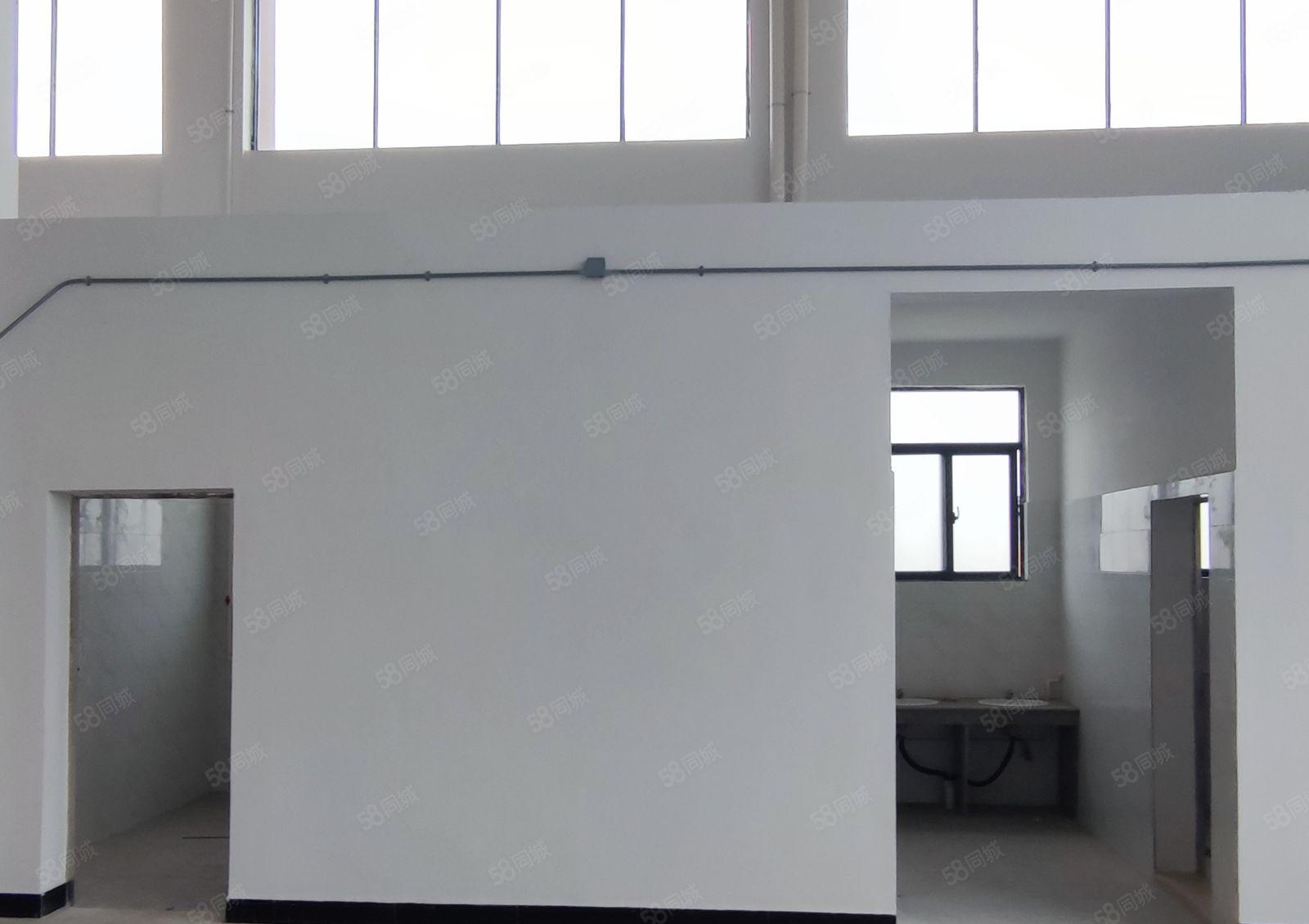 石湾科技园厂房15块出租 价格美丽 空地超大